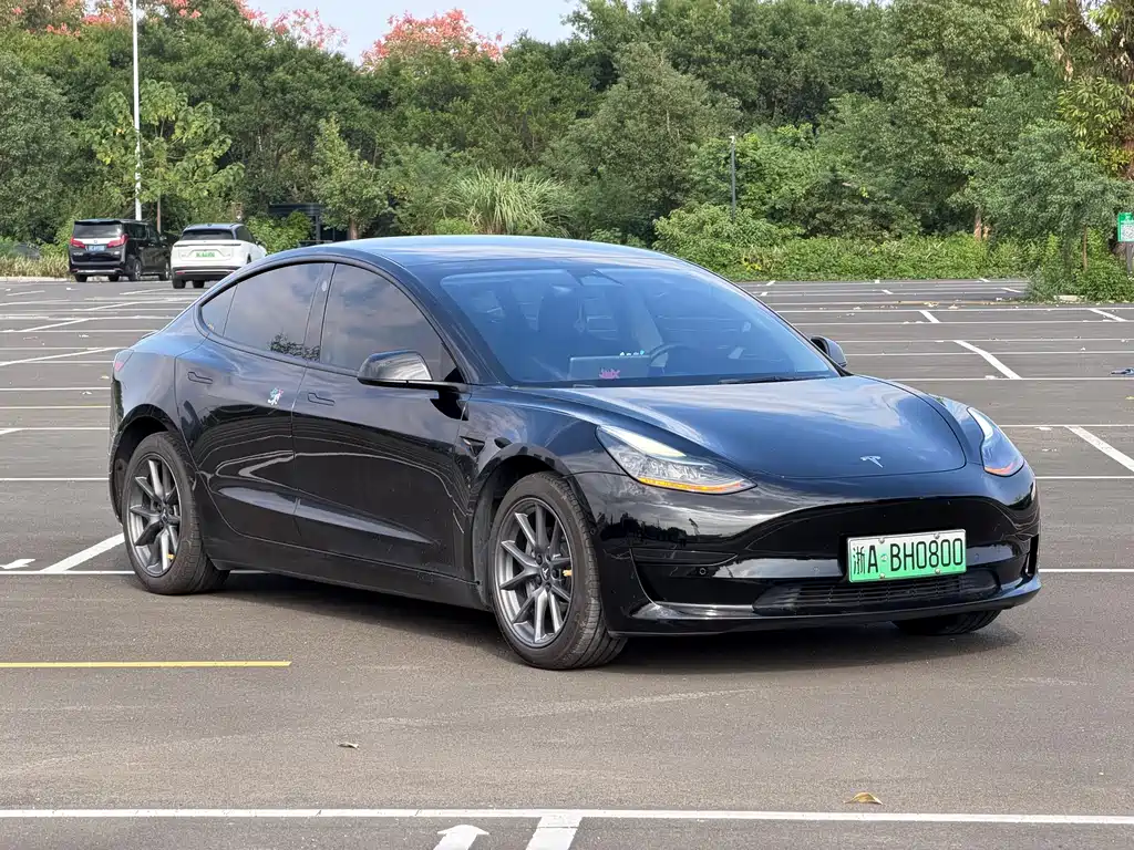 Tesla Model 3 — миниатюра 3