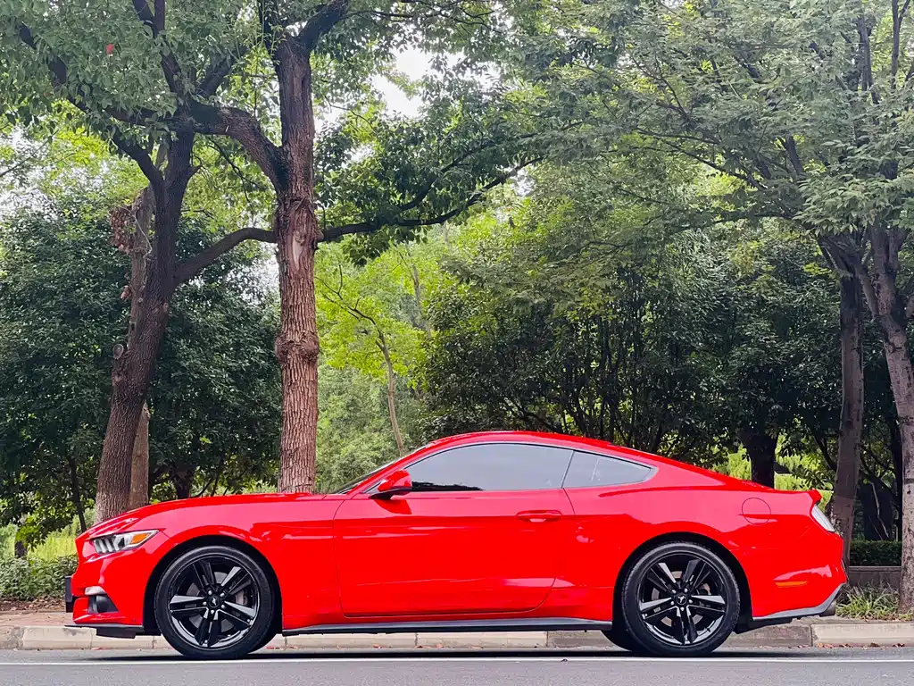 Ford Mustang — миниатюра 3
