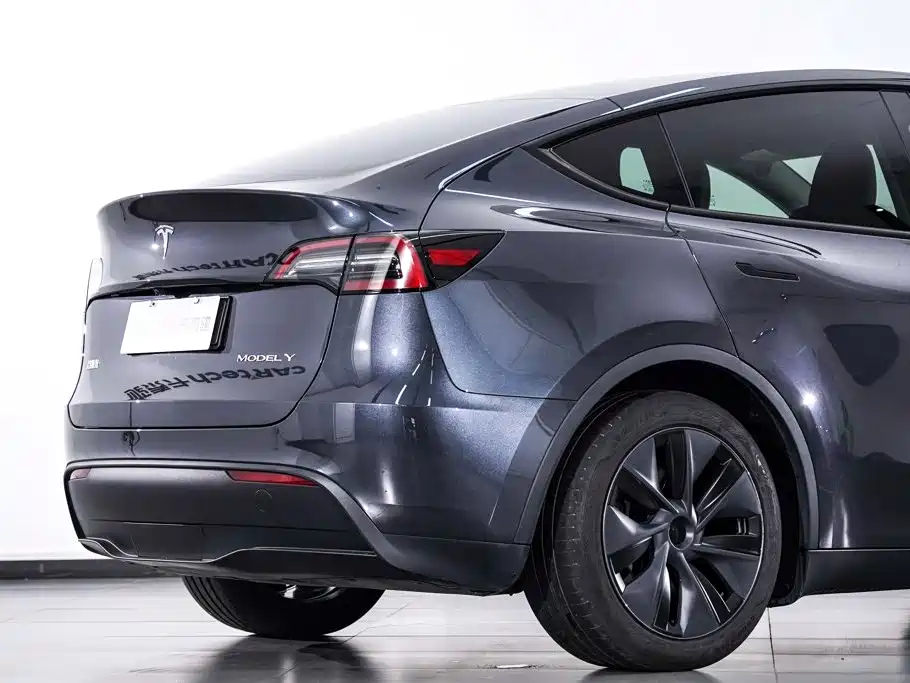 Tesla Model Y — миниатюра 9