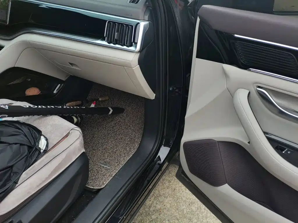 BYD PLUS New Energy — миниатюра 20