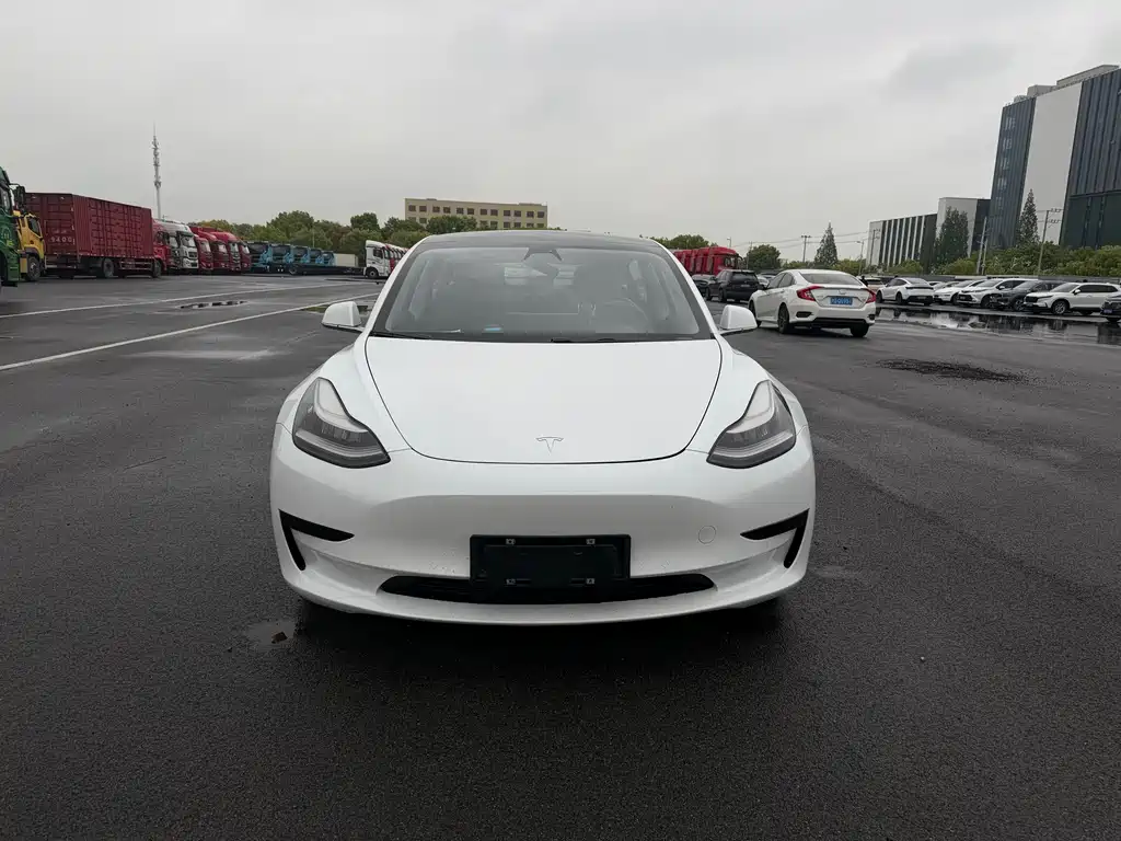 Tesla Model 3 2020