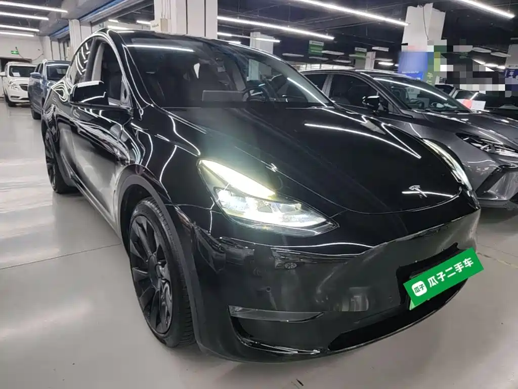 Tesla Model Y — миниатюра 4