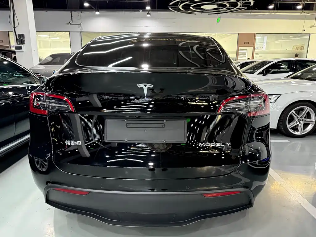 Tesla Model Y — миниатюра 13