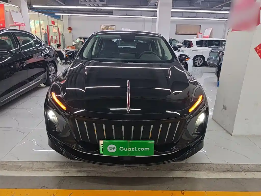 Hongqi Hongqi E-QM5 — миниатюра 3