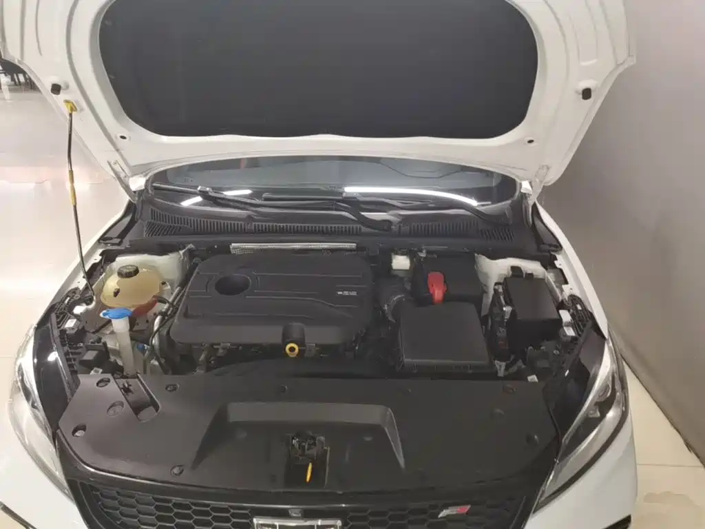 Geely Binrui — миниатюра 20