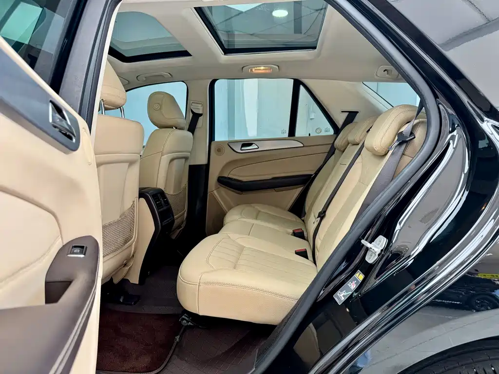 Mercedes-Benz GLE (Import) — миниатюра 9