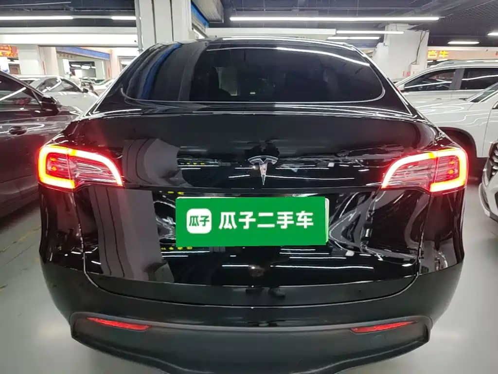 Tesla Model Y — миниатюра 6