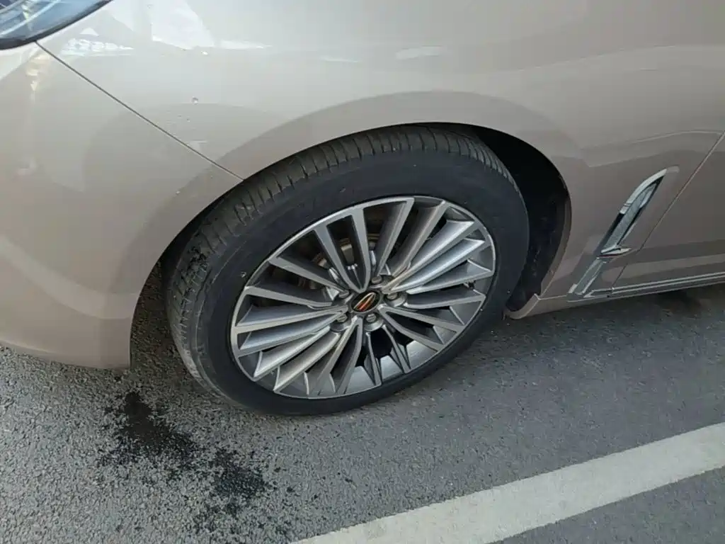 Hongqi Hongqi H9 — миниатюра 23