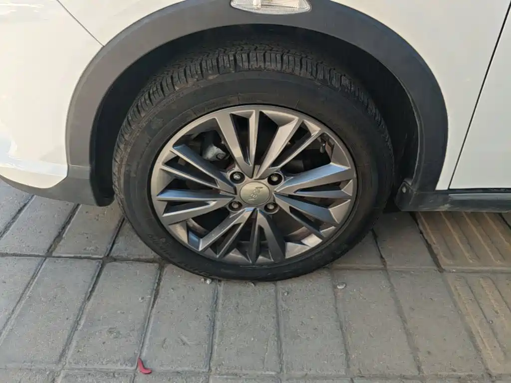 Neta Neta V — миниатюра 23