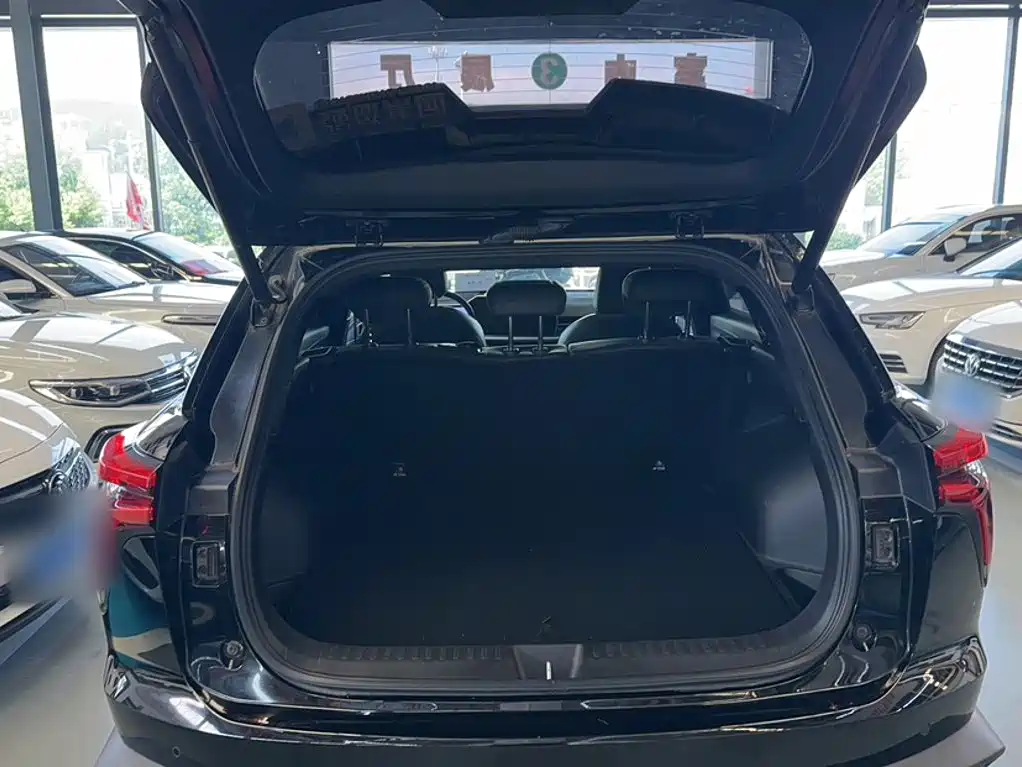 Haval Shenshou — миниатюра 15