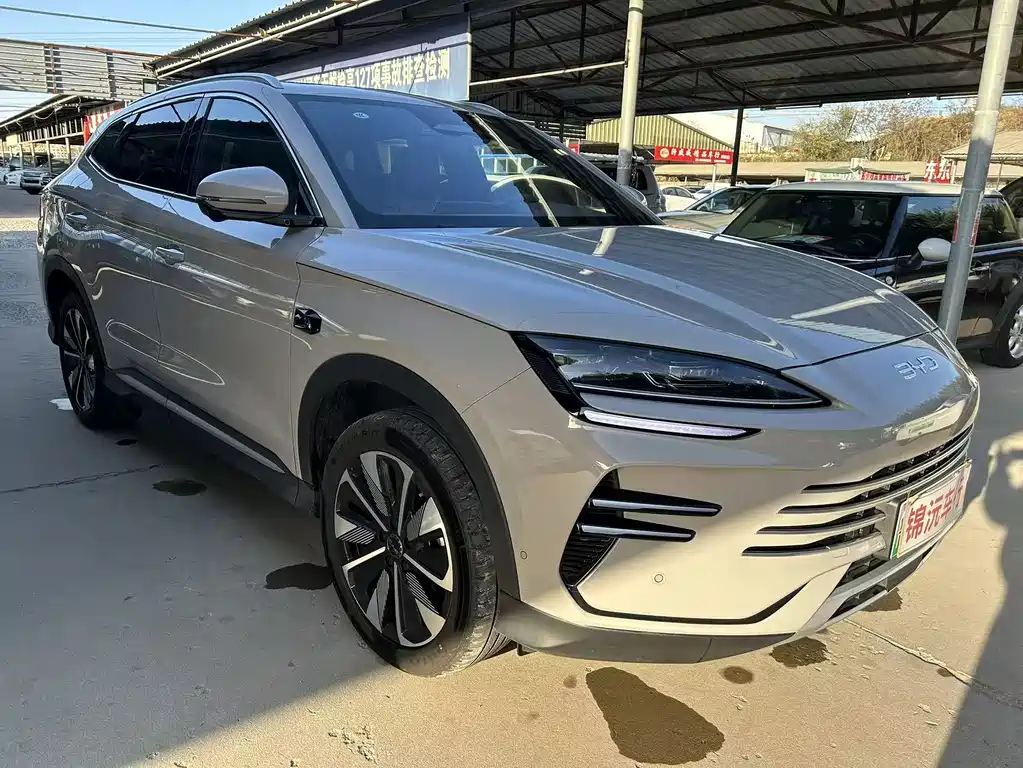 BYD SONGJIANG NEW ENERGY