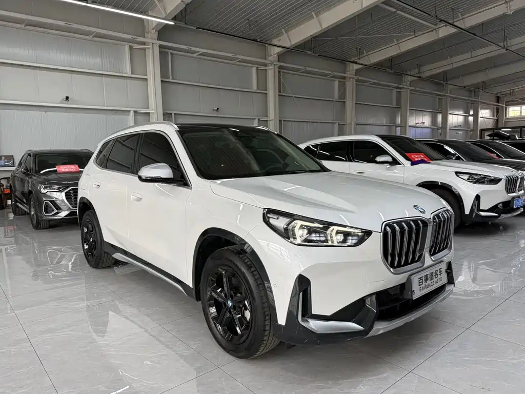 BMW X1 — миниатюра 3