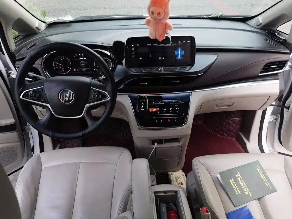 Buick GL8 — миниатюра 13