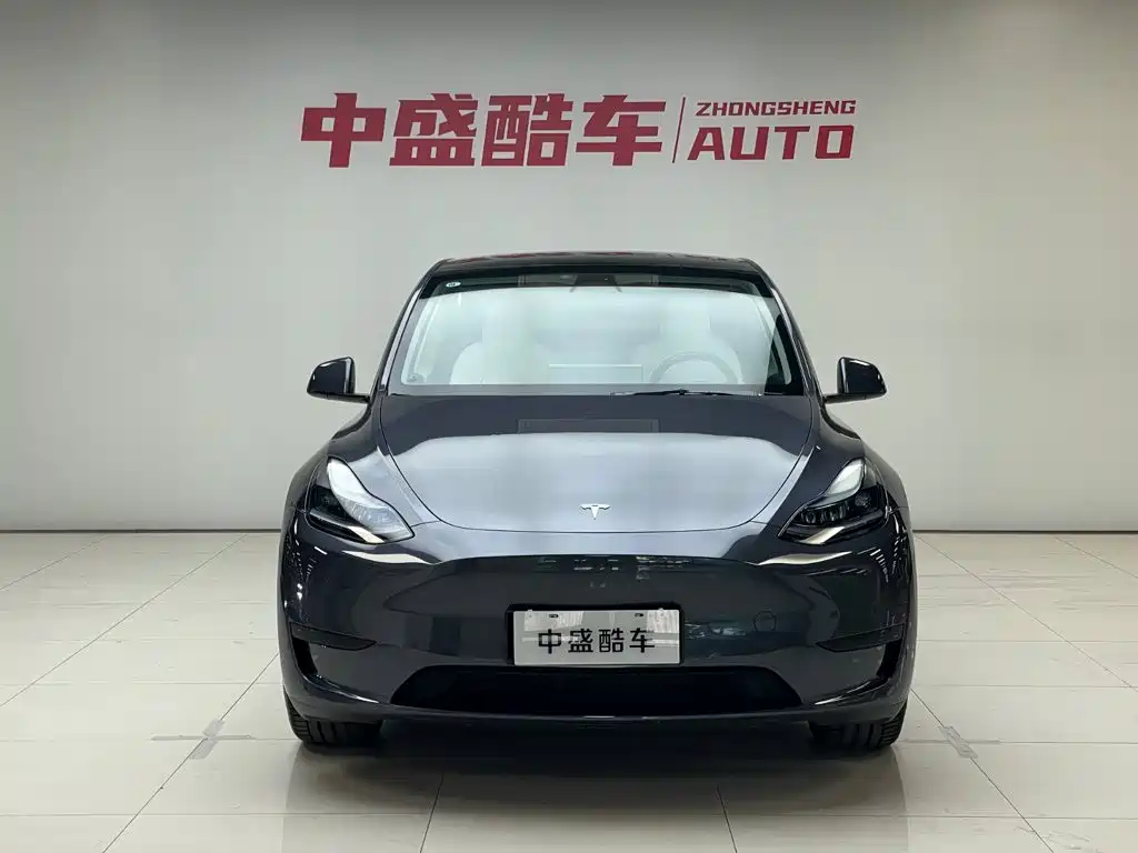 Tesla Model Y — миниатюра 2