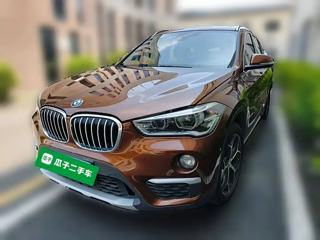 BMW X1 — миниатюра 2