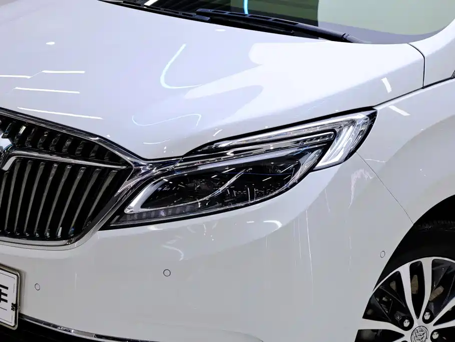 Buick GL8 — миниатюра 10