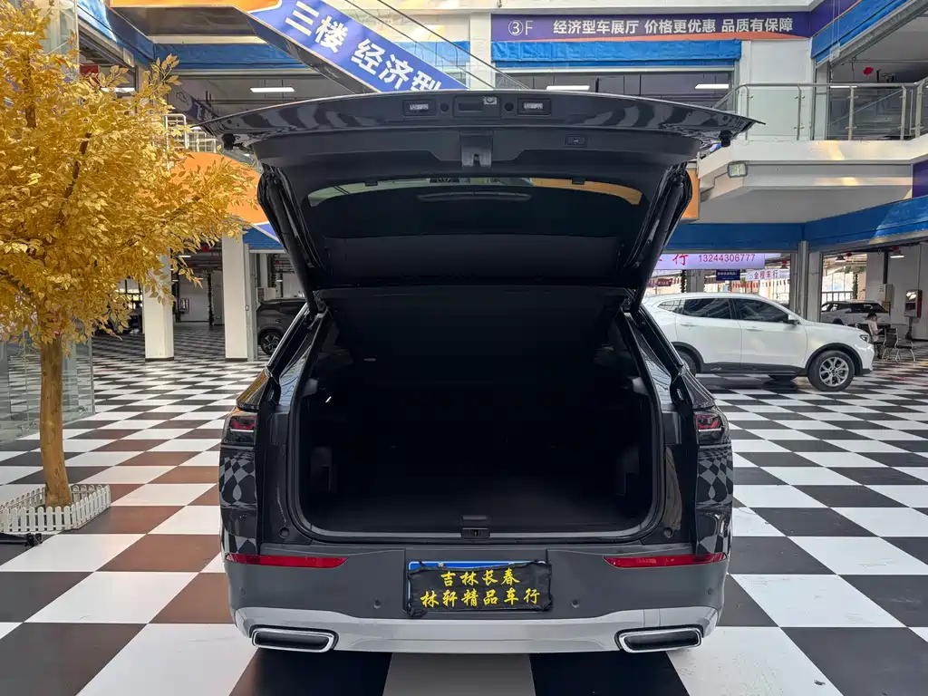 Volkswagen Tavendor — миниатюра 11