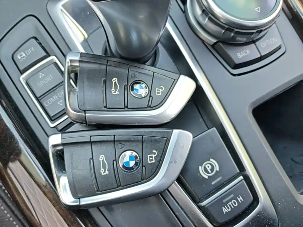 BMW X5 (Import) — миниатюра 13