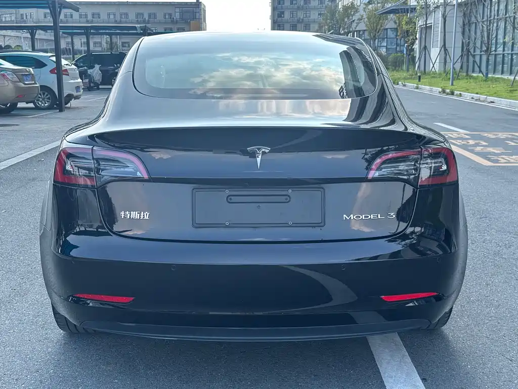Tesla Model 3 — миниатюра 8