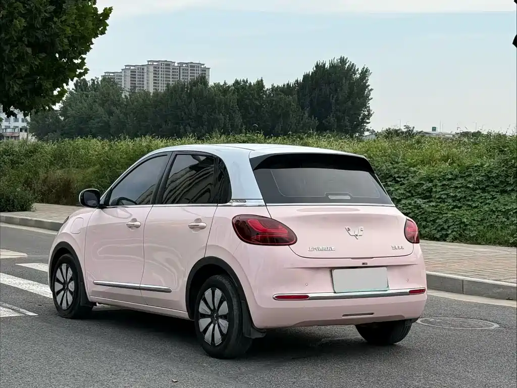 Wuling Binguo 2023 410km Premium