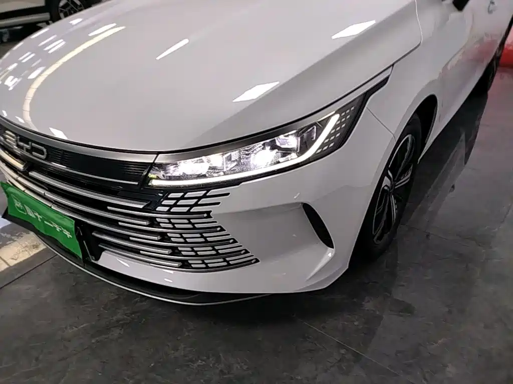 BYD Destroyer 05 — миниатюра 24