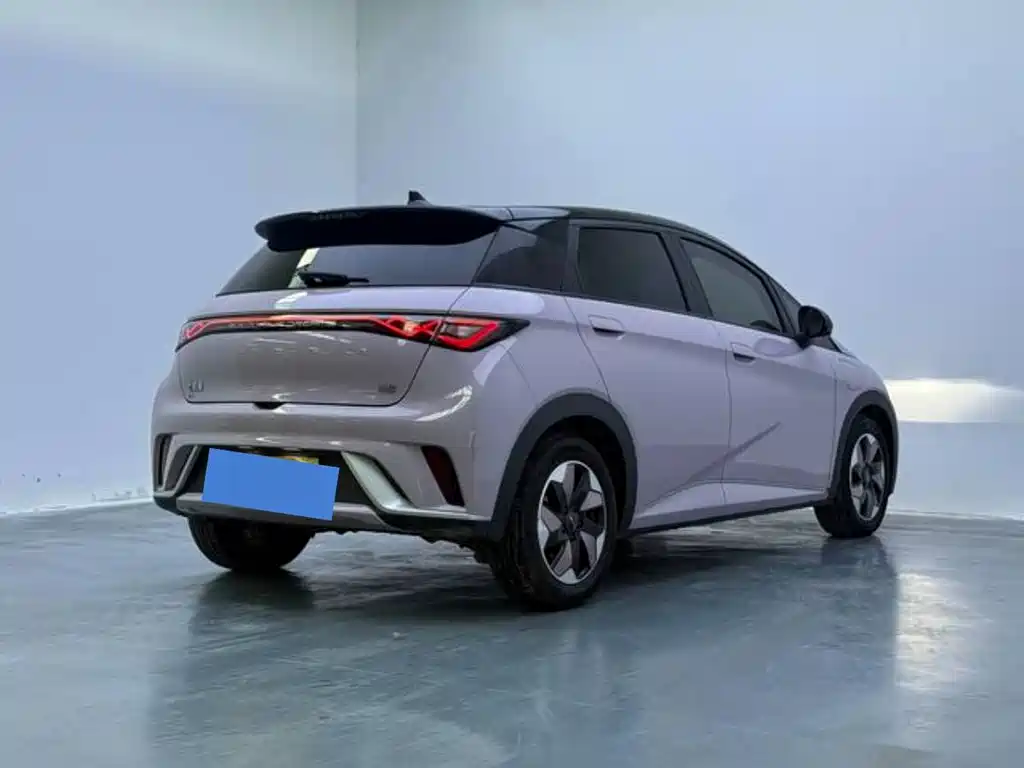 BYD Dolphin — миниатюра 5