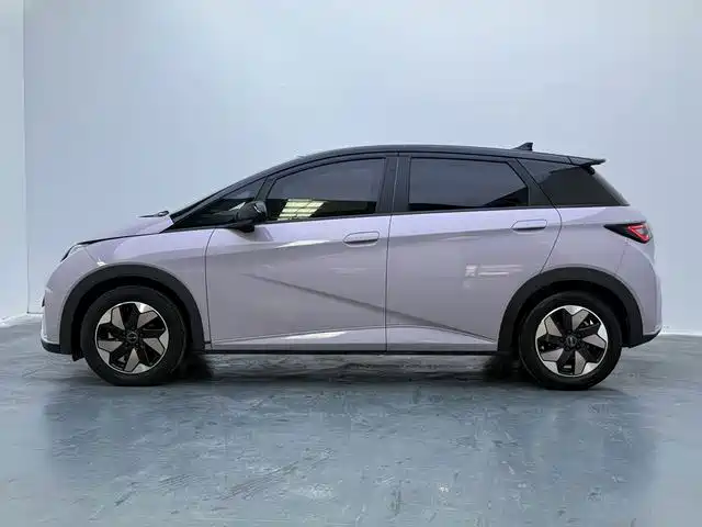 BYD Dolphin — миниатюра 18