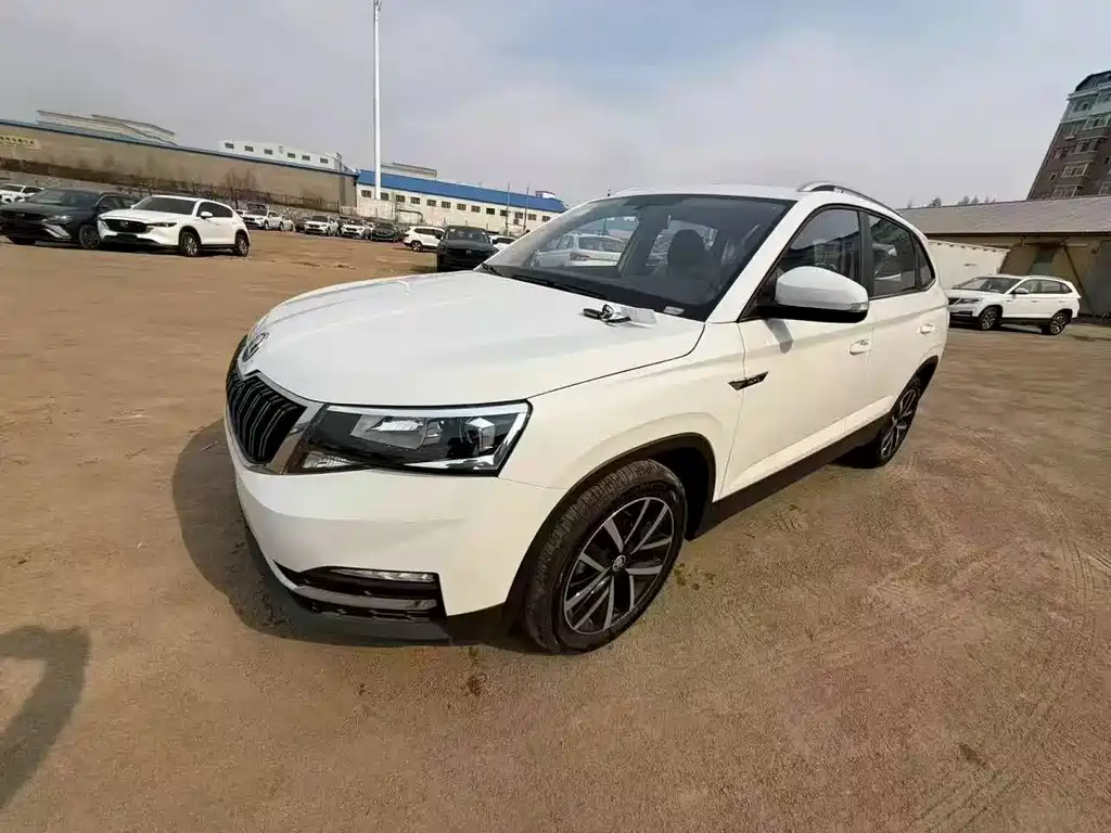 Skoda Kamiq — миниатюра 9