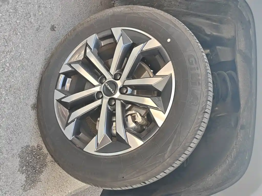 Haval Big Dog PLUS — миниатюра 8