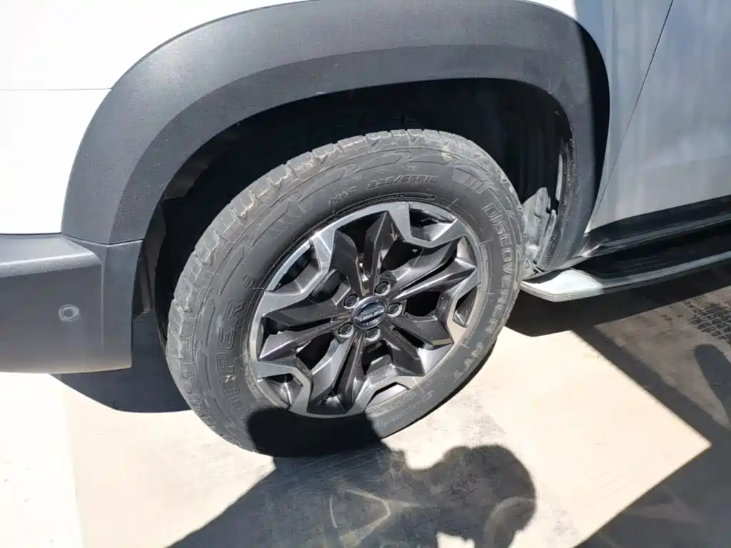Haval Big Dog — миниатюра 23