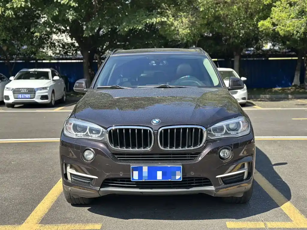 BMW X5 (Import) — миниатюра 2