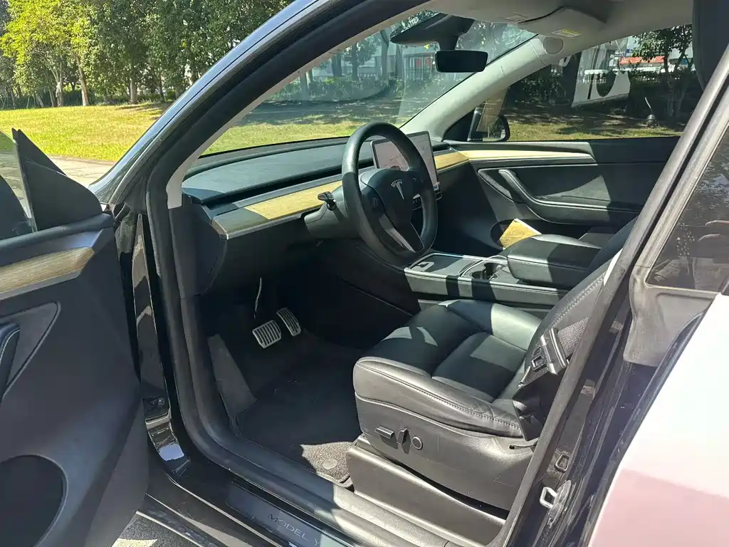 Tesla Model Y — миниатюра 6