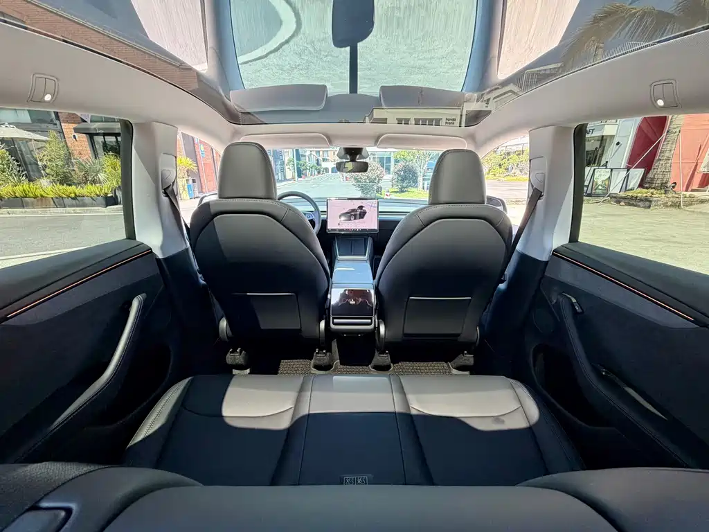 Tesla Model Y — миниатюра 16