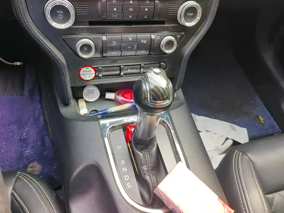 Ford Mustang — миниатюра 16
