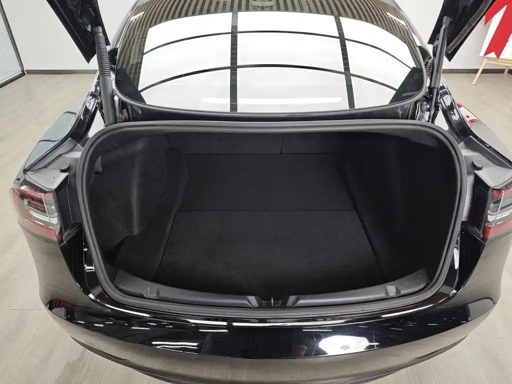 Tesla Model 3 — миниатюра 8