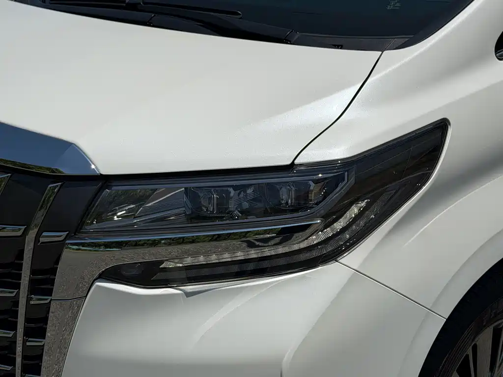 Toyota Alphard — миниатюра 12