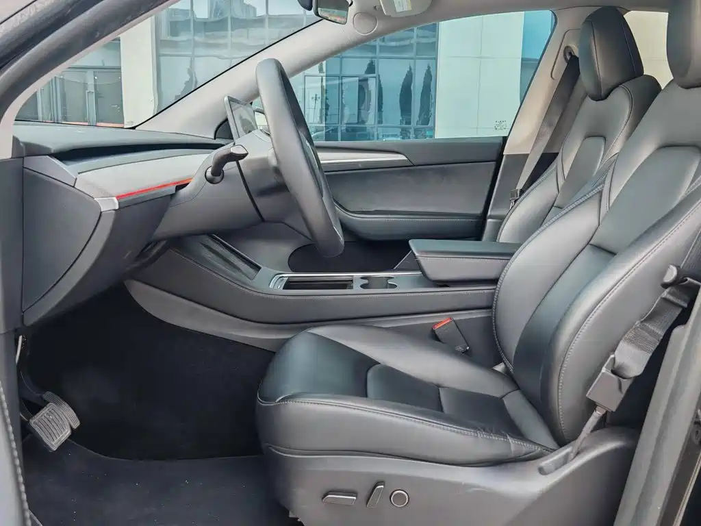 Tesla Model Y — миниатюра 7