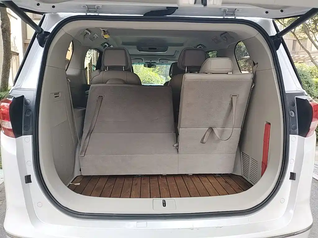 Buick GL8 — миниатюра 19