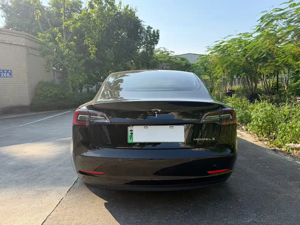 Tesla Model 3 — миниатюра 6
