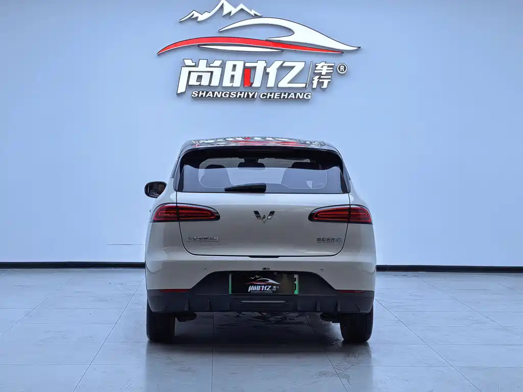 Wuling BinguoPLUS PLUS 2024 401km мест