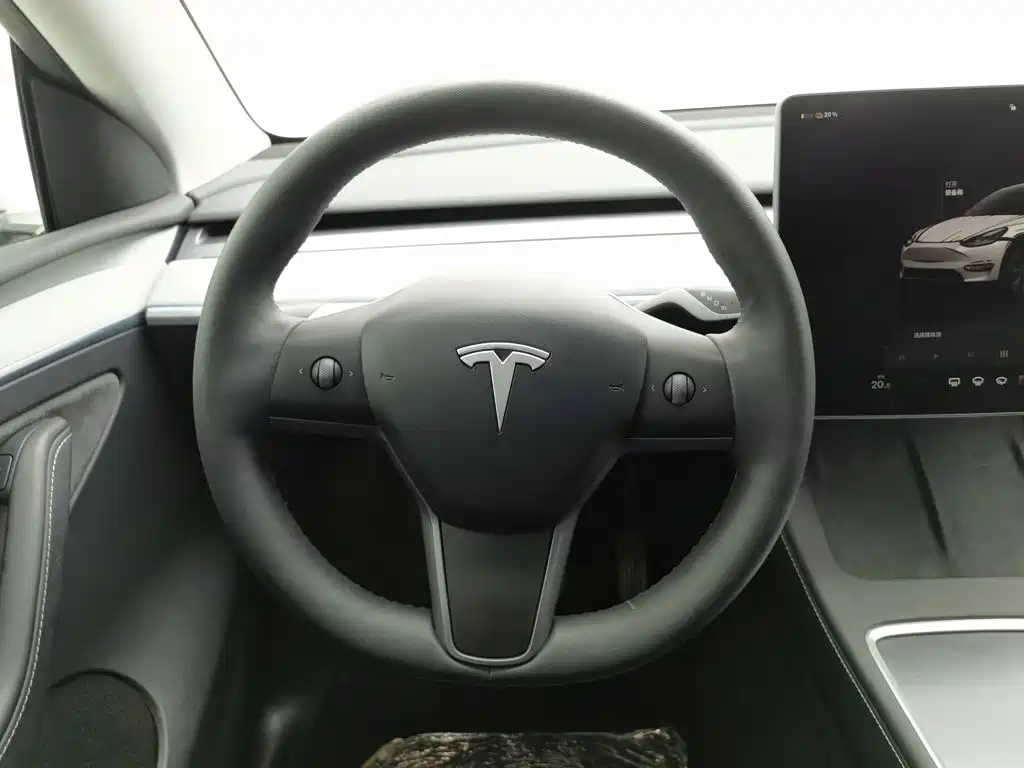 Tesla Model Y — миниатюра 11