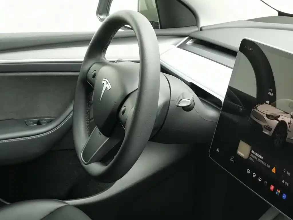 Tesla Model Y — миниатюра 22