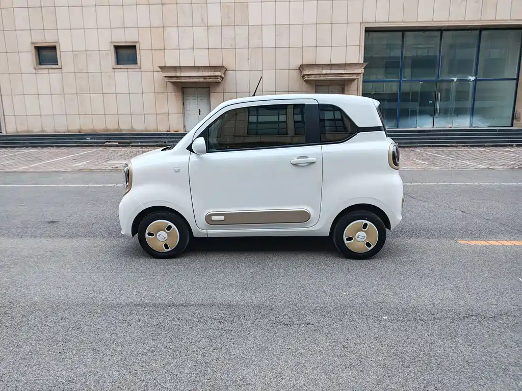 BESTUNE PENTIUM PONY