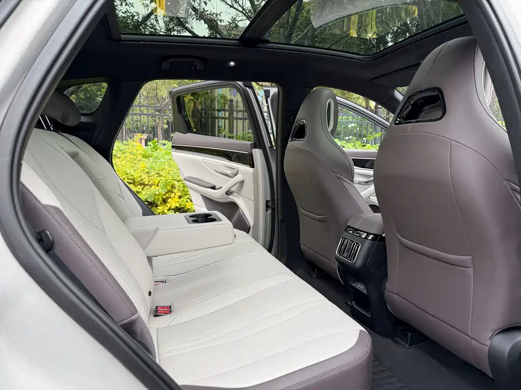 BYD SONGJIANG NEW ENERGY