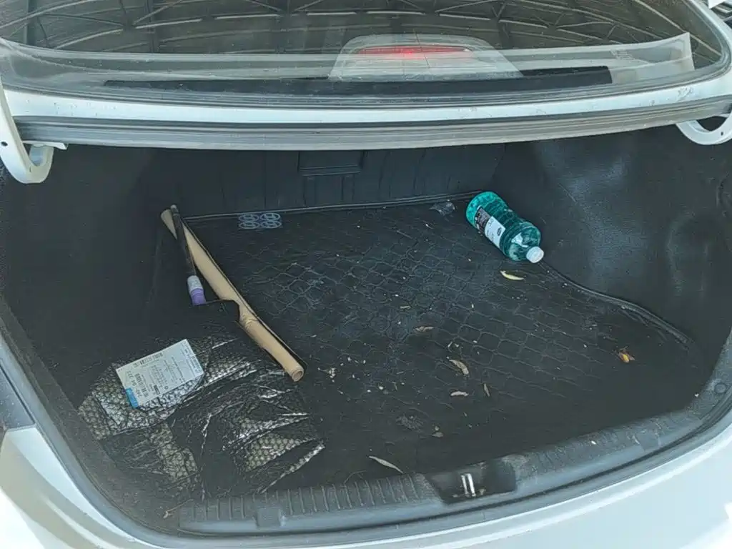 Hyundai Elantra Langdong — миниатюра 19