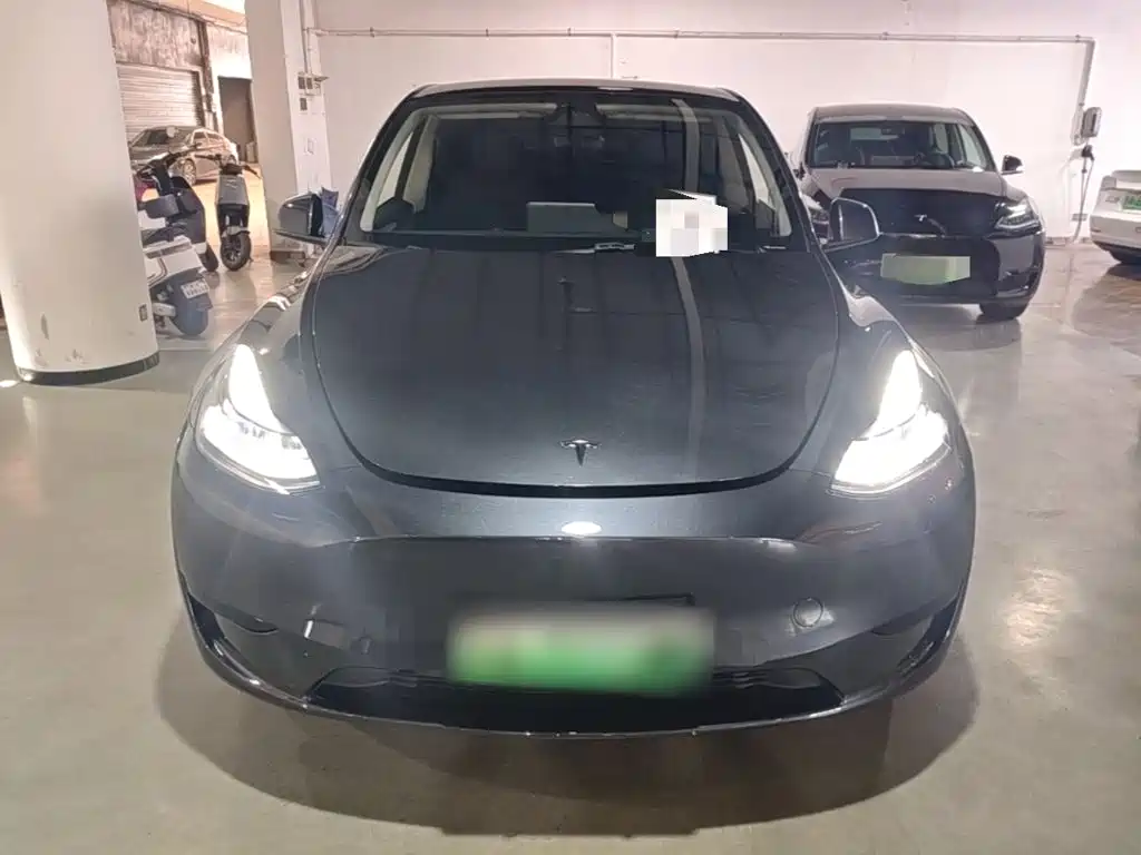 Tesla Model Y — миниатюра 3