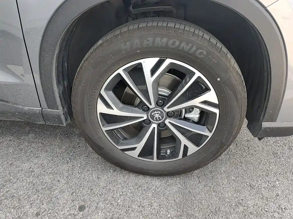 BYD Pro New Energy — миниатюра 12
