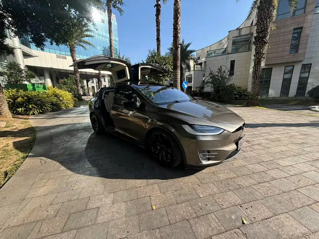TESLA MODEL X
