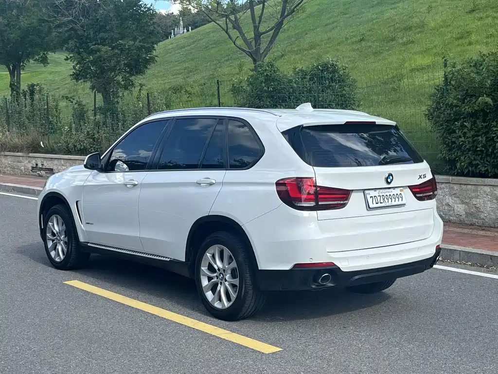 BMW X5 (Import) — миниатюра 10