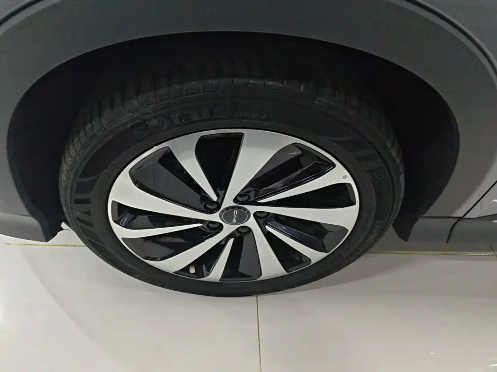 BYD PLUS New Energy — миниатюра 23